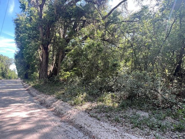 Lot 1 Old Wire Rd, Home with 0 bedrooms, 0 bathrooms and null parking in FORT WHITE FL | Image 7