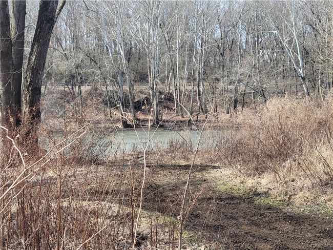 Back of the lot, looking towards the River. | Image 11
