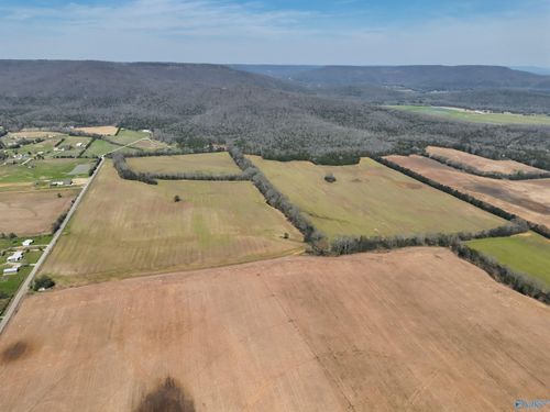 160 Acres County Road 530, Scottsboro, AL, 35768 | Card Image