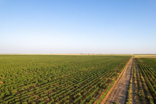 0 Shepard St, Abernathy, TX, 79311 | Card Image