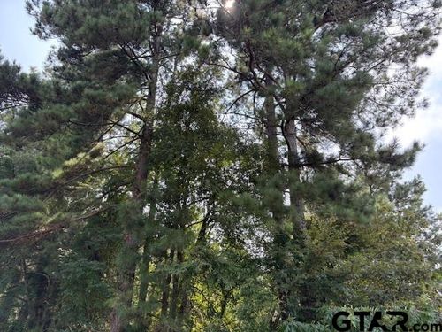 1395 County Road 3405, Jacksonville, TX, 75766-1709 | Card Image