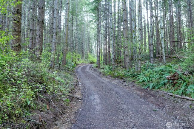 0 Discovery Ridge Rd, Home with 0 bedrooms, 0 bathrooms and null parking in Port Townsend WA | Image 22