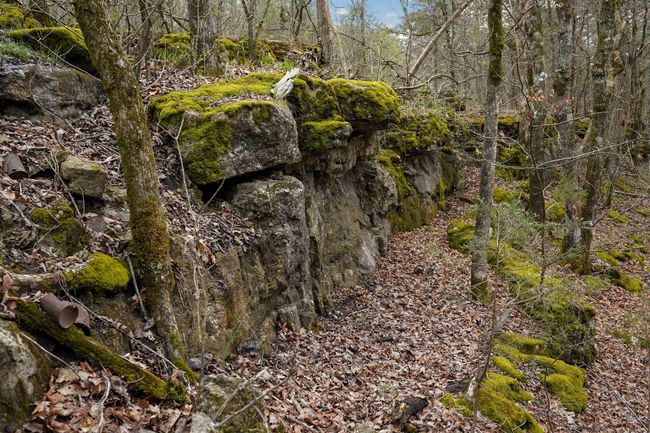 Fossil Cove Rd-64 | Image 63