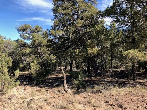 0 Pinon Drive, Tres Piedras, NM, 87577 | Card Image