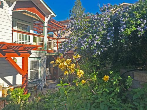 126 Center Street, Jackson, CA, 95642 | Card Image