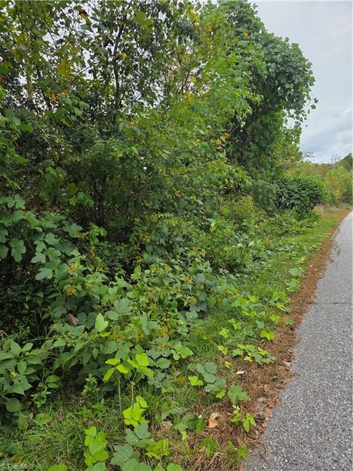 000 Holly Brook St, North Wilkesboro, NC, 28659 | Card Image