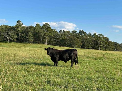 181 Lovers Ln, Bigelow, AR, 72016-5029 | Card Image