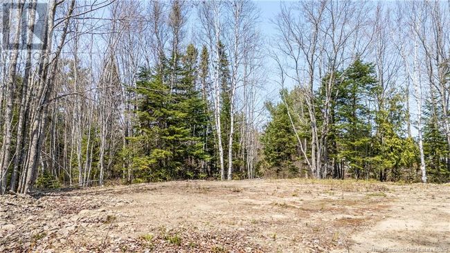 1387 Bells Mills Rd, Home with 0 bedrooms, 0 bathrooms and null parking in Richibouctou-Village NB | Image 8