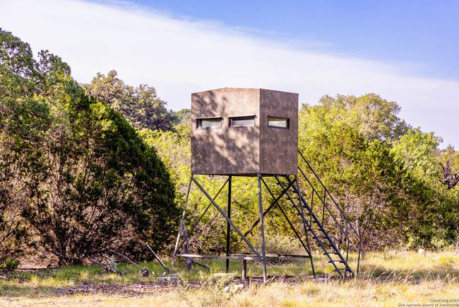 14910 Bullhead Rd, Home with 3 bedrooms, 1 bathrooms and null parking in Rocksprings TX | Image 26