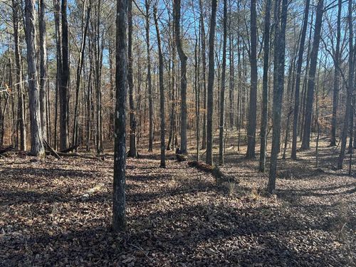 00 Carl Mathis Rd, Talbotton, GA, 31827 | Card Image