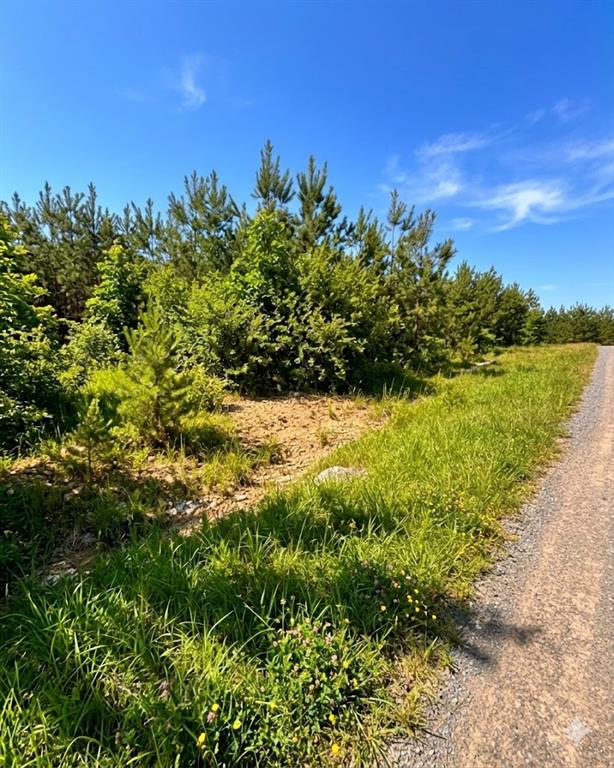 Land in Broken Bow 2