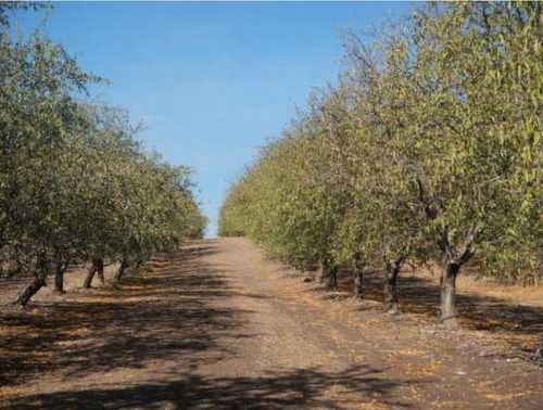 1 S Fogarty Road, Oakdale, CA, 95361 | Card Image