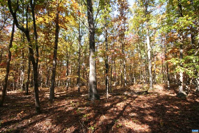 1367 S Constitution Rte, House other with 4 bedrooms, 1 bathrooms and null parking in DILLWYN VA | Image 41