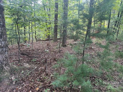 66-TBD Forest Country Drive, Marion, NC, 28752 | Card Image