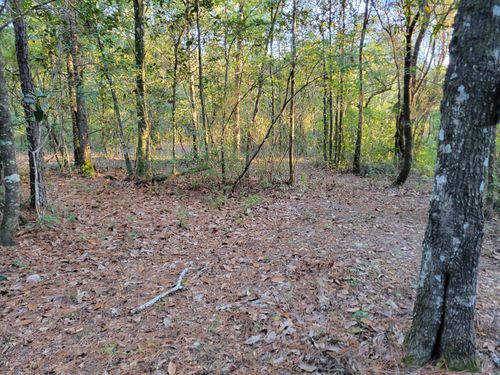 000 Hardwood Lane, Ponce De Leon, FL, 32455 | Card Image