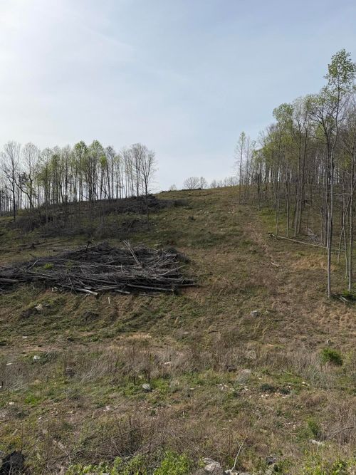 track-4-Track 4 White Rock Rd, Mount Vernon, KY, 40456-8027 | Card Image