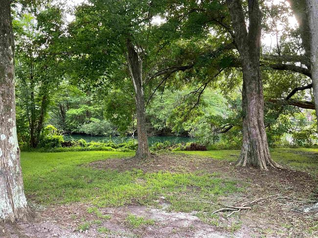 View of yard featuring a view of trees | Image 14