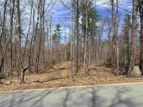 Map 208 Lot 8-1 Baptist Hill Road, Canterbury, NH, 03224 | Card Image