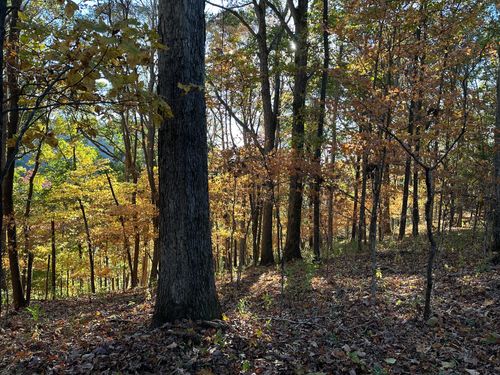 1 Old Highway 18, Tennessee Ridge, TN, 37178 | Card Image
