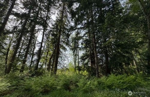 11106 Spruce Dr, Anderson Island, WA, 98303 | Card Image
