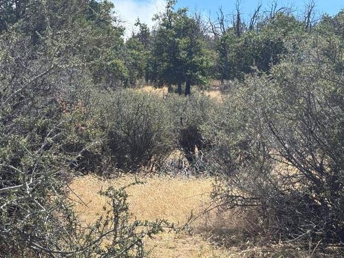 Unit 4 Lot 751 Pigeon St, Hornbrook, CA, 96044 | Card Image