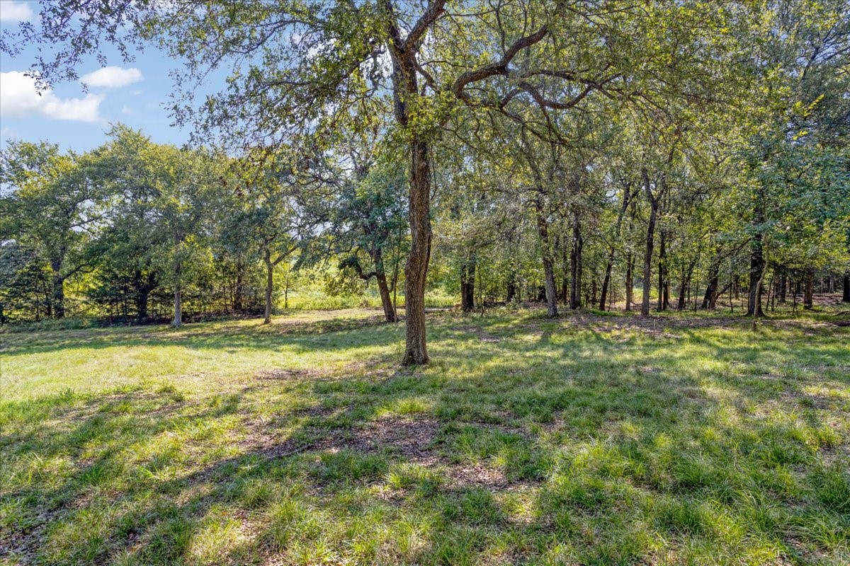 Land in Denison 2