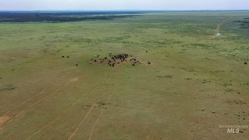 TBD Carey Ave, Carey, ID, 83320 | Card Image