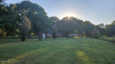 yard | Image 3