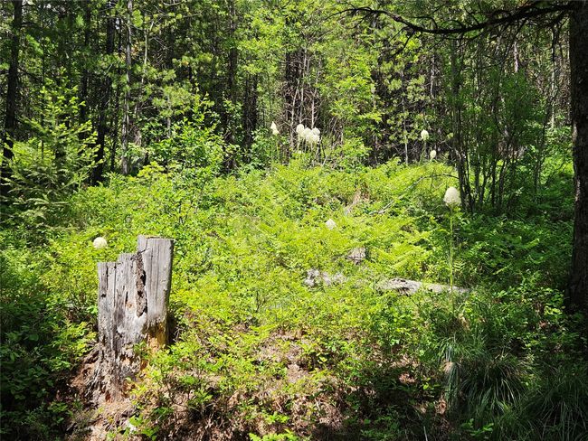 14463 Libby Creek Rd, Home with 0 bedrooms, 0 bathrooms and null parking in Libby MT | Image 12