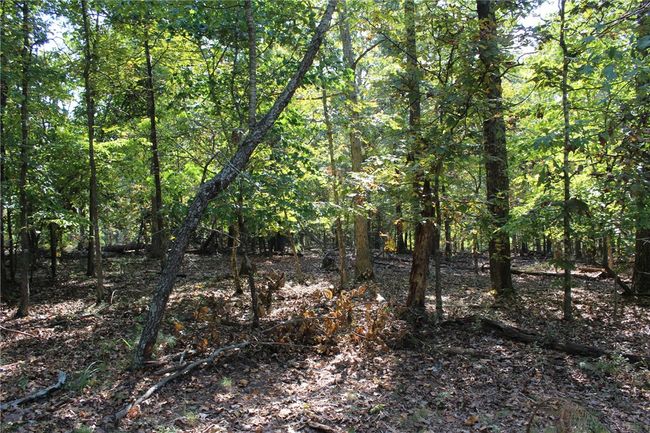 2231 Shady Ridge Road, Home with 0 bedrooms, 0 bathrooms and null parking in Kansas OK | Image 10
