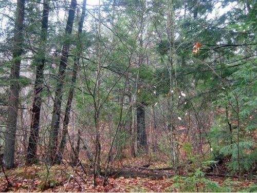 0 Roby Rd, South Sutton, NH, 03273 | Card Image