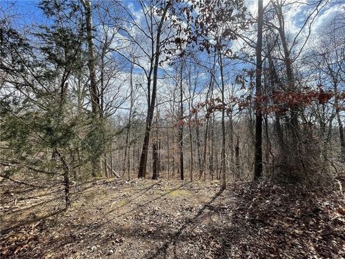 62 Regis Ln, Bella Vista, AR, 72714 | Card Image