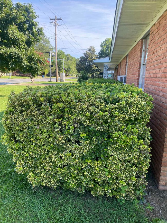 1212 Donaghey Ave, House other with 4 bedrooms, 3 bathrooms and null parking in Conway AR | Image 12