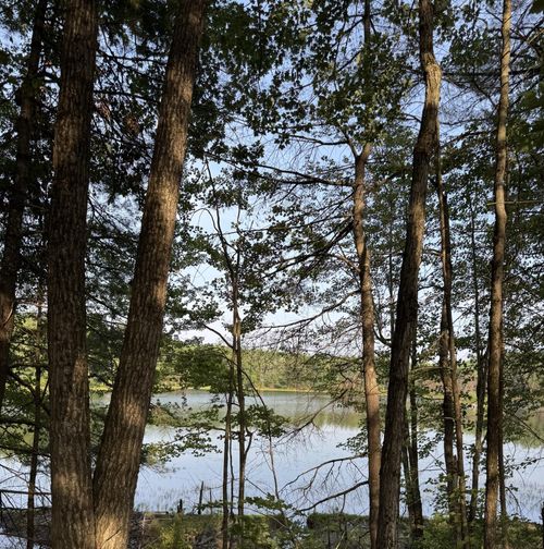 Lot #6 Anderson Drive, Leeds, ME, 04263 | Card Image