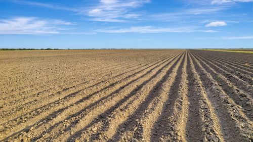 TBD Fm 530, Edna, TX, 77957 | Card Image