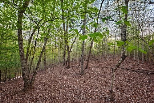 Lot 5 River Bend Ln, Blue Ridge, GA, 30513-5691 | Card Image