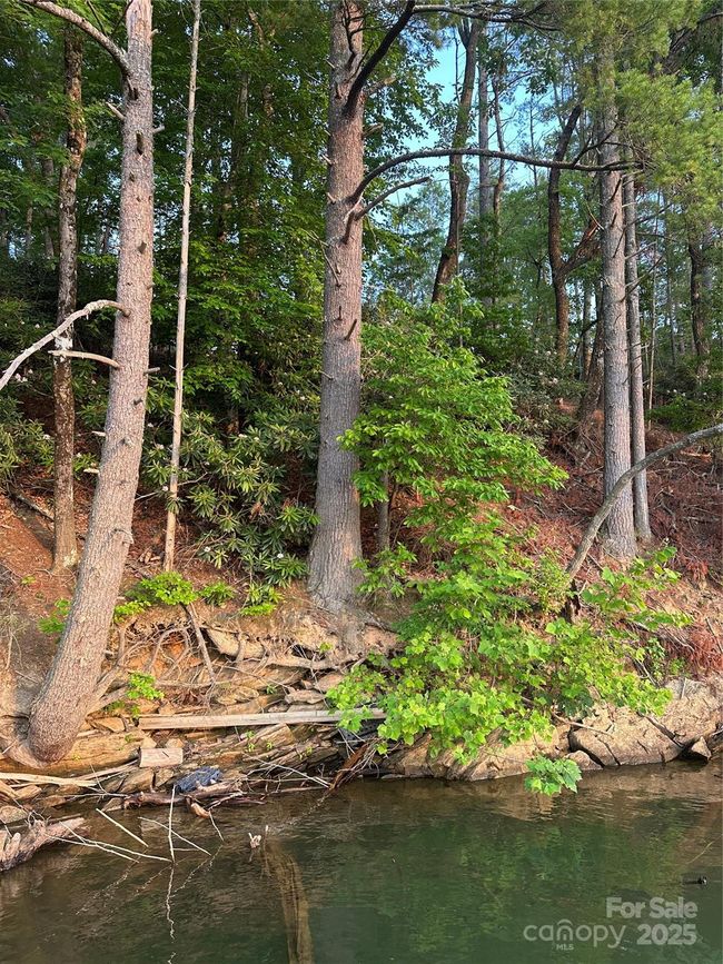385 Dockside Dr, Home with 0 bedrooms, 0 bathrooms and null parking in Nebo NC | Image 5