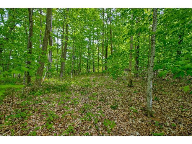 N872 County Highway Md, Home with 0 bedrooms, 0 bathrooms and null parking in SARONA WI | Image 15