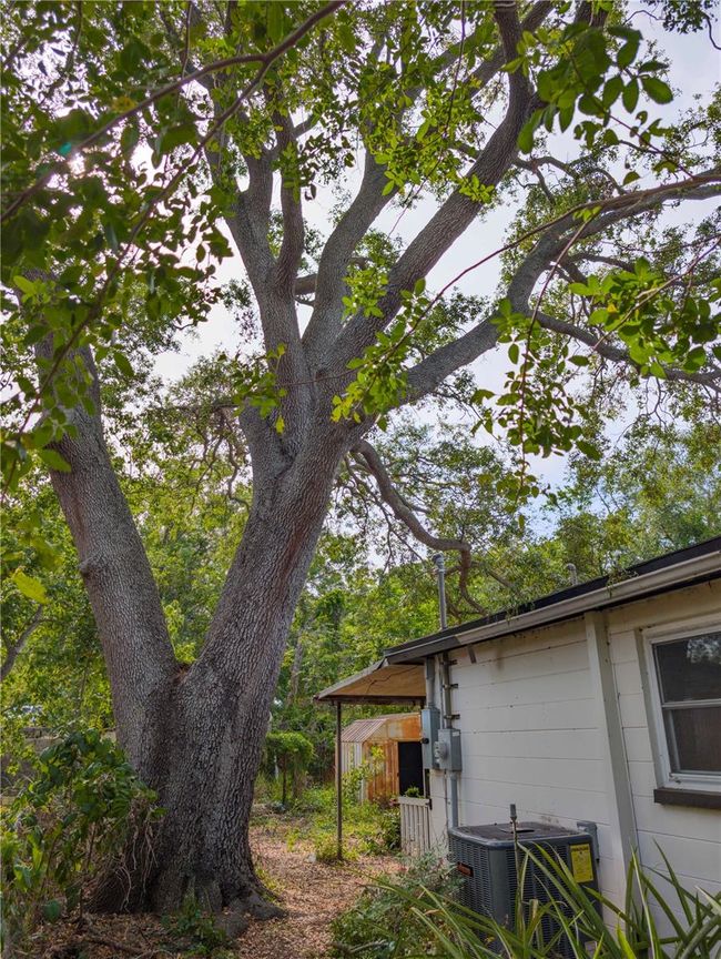 8926 68 Th St N, House other with 2 bedrooms, 1 bathrooms and null parking in Pinellas Park FL | Image 5