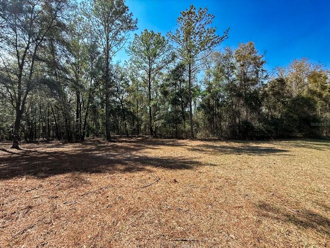 000 Hermitage Gln, House other with 4 bedrooms, 4 bathrooms and null parking in High Springs FL | Image 6