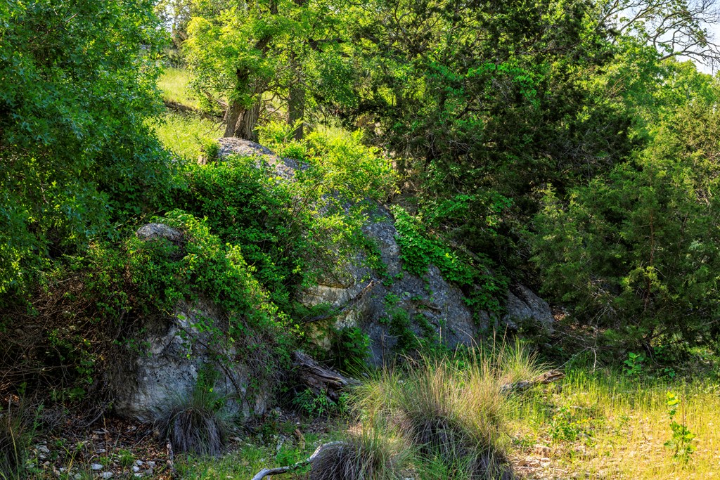 Farm in Kerrville 4