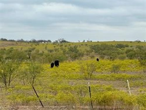 TBD W Chapman Rd, Sanger, TX, 76266 | Card Image