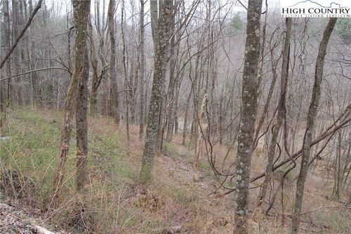 Lot 56 Toms Knob Rd, Sparta, NC, 28675 | Card Image