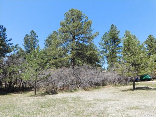 7347 Fremont Pl, Larkspur, CO, 80118-8731 | Card Image