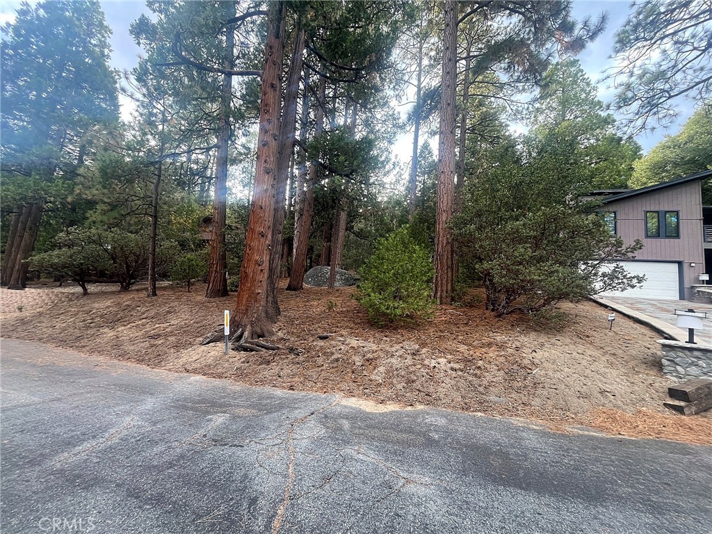 Land in Idyllwild 3