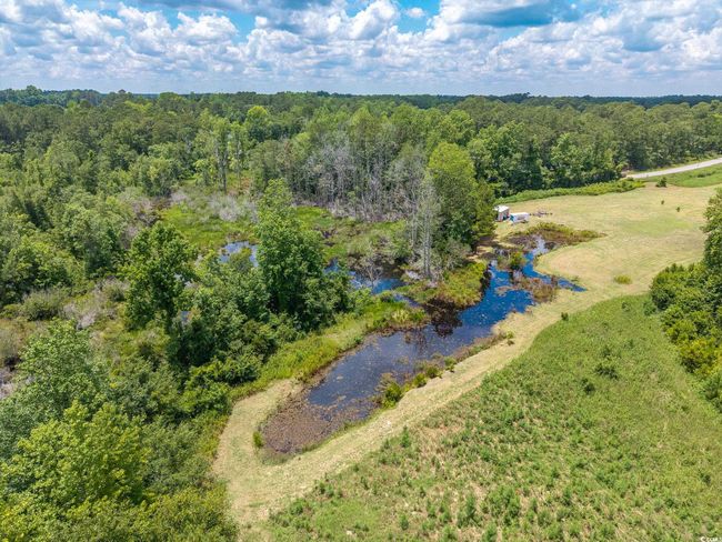 Drone / aerial view of a heavily wooded area | Image 12
