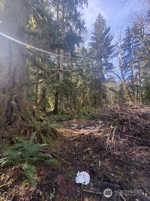 63605 Ne 189th St, Baring, WA, 98224 | Card Image