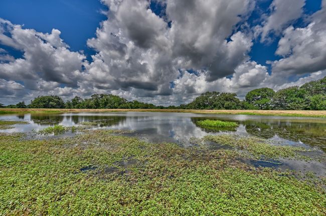 6 Fieldcrest Ln, Home with 0 bedrooms, 0 bathrooms and null parking in Burton TX | Image 28