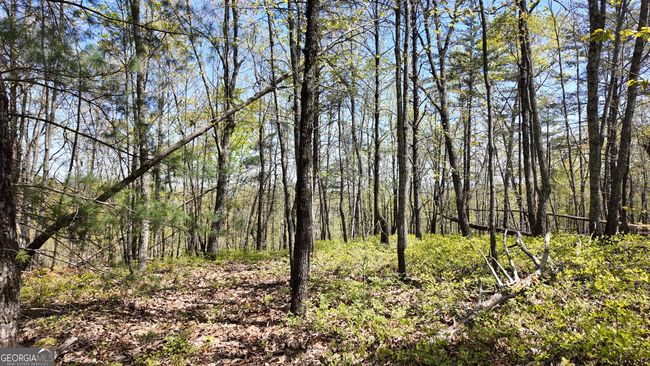 LOT 19 Heyden Ridge Dr, Home with 0 bedrooms, 0 bathrooms and null parking in Clarkesville GA | Image 4
