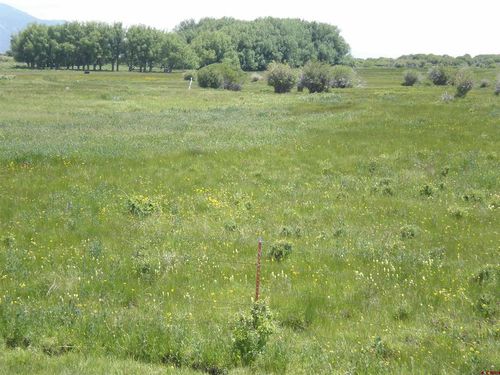 00 County Road Z, Saguache, CO, 81149 | Card Image